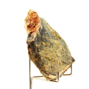 Opale dendritique. 404.45 ct.