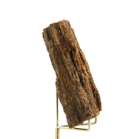 Bois pétrifié. 300.0 ct.