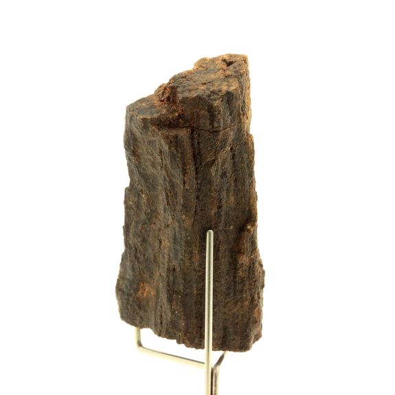 Bois pétrifié. 300.0 ct.