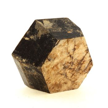 Phlogopite. 1796.5 ct.