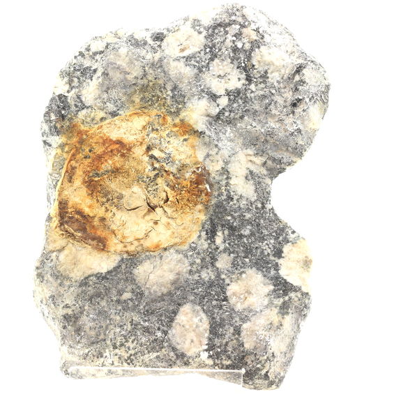 Diorite Orbiculaire. 2162.20 ct.