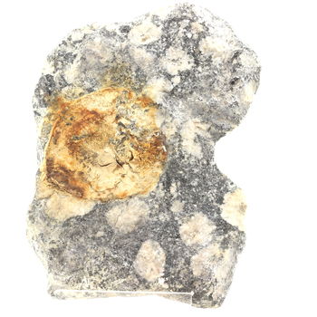 Diorite Orbiculaire. 2162.20 ct.