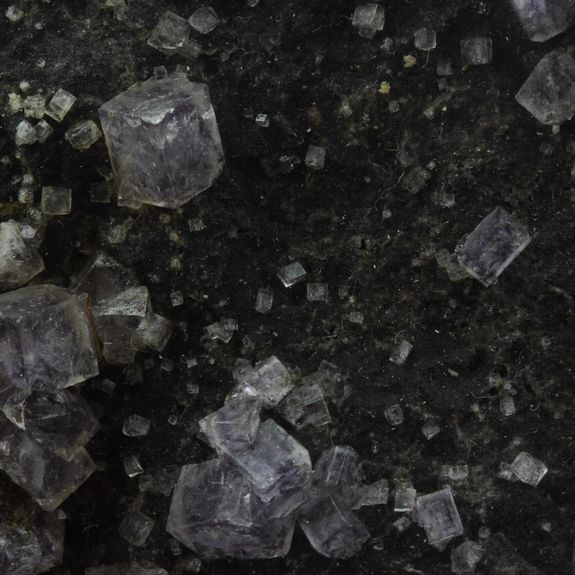 Fluorite. 323.50 ct.