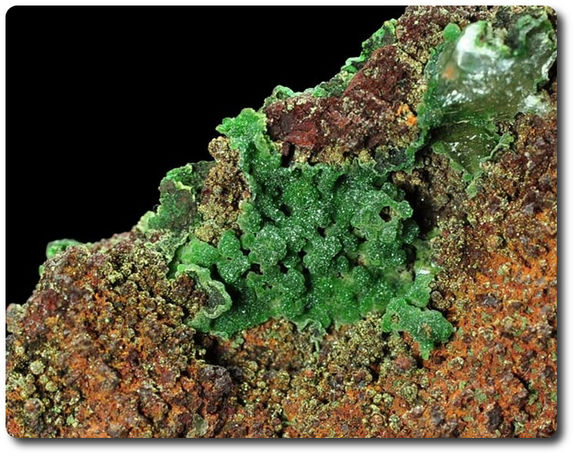 28.60 grammes CONICHALCITE & CALCITE