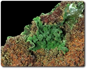28.60 grammes CONICHALCITE & CALCITE