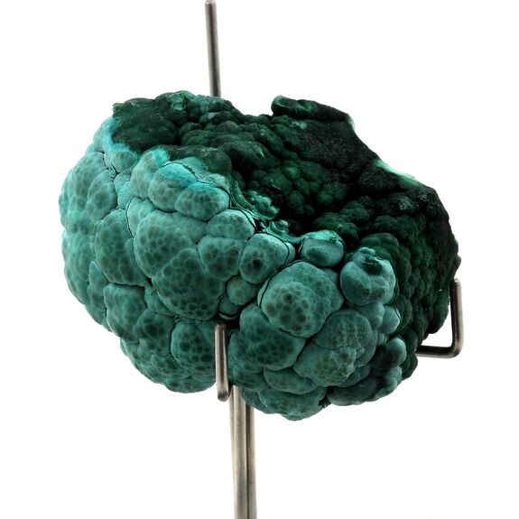 Malachite. 578.75 ct.