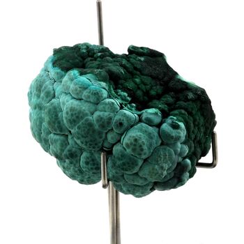 Malachite. 578.75 ct.