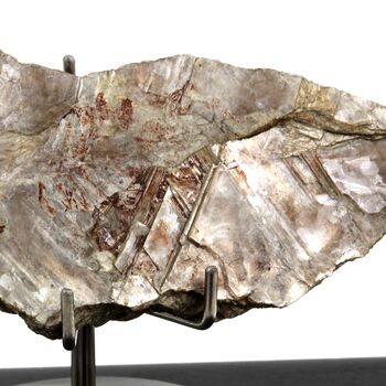 Muscovite. 135.95 ct.