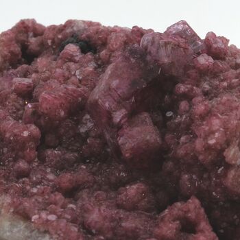 Dolomite Cobaltifère. 917.65 ct.
