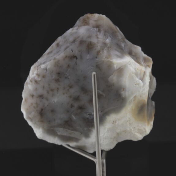 Opale dendrite. 195.0 ct.