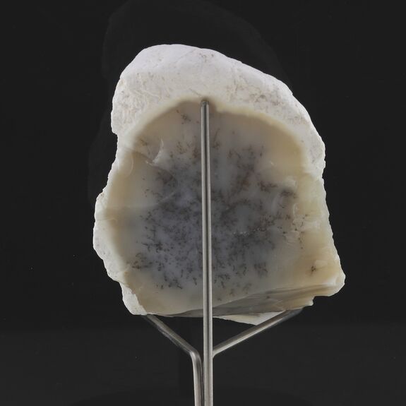 Opale dendrite. 224.0 ct.