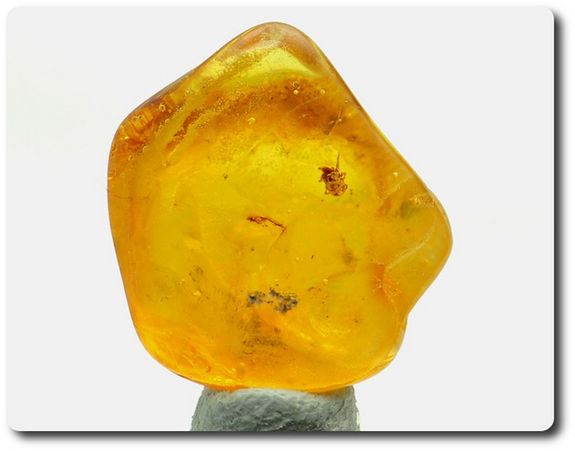 0.98 grams FOSSIL INSECT INCLUSION IN AMBER