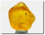 0.98 grams FOSSIL INSECT INCLUSION IN AMBER