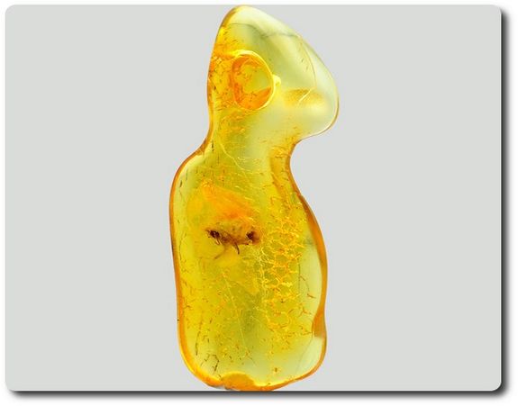 0.37 grams FOSSIL INSECT INCLUSION IN AMBER