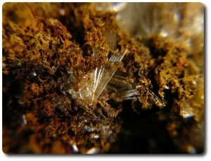 32.00 grams HEMIMORPHITE