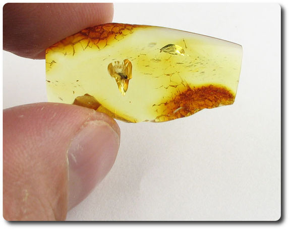 1.20 grams FOSSIL INSECT INCLUSION IN AMBER