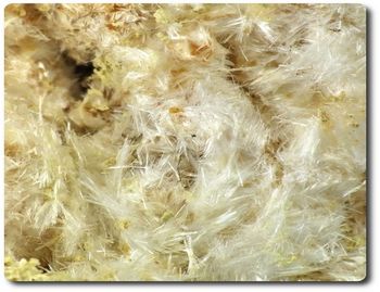 8 grammes  PICKERINGITE