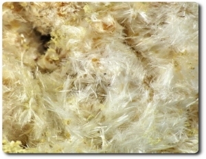 8 grammes  PICKERINGITE