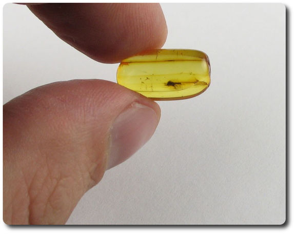 0.70 grams FOSSIL INSECT INCLUSION IN AMBER