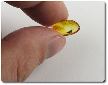 0.30 grams FOSSIL INSECT INCLUSION IN AMBER