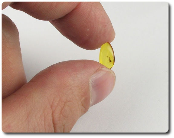 0.10 grams FOSSIL INSECT INCLUSION IN AMBER