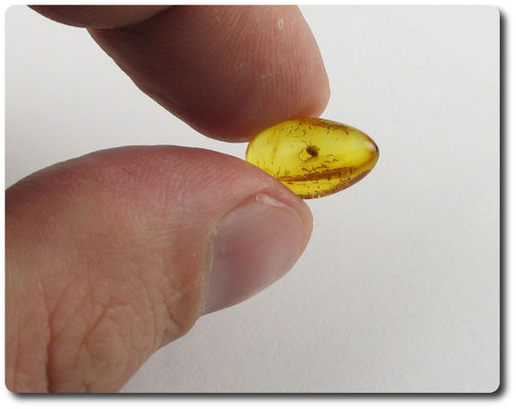 0.30 grams FOSSIL INSECT INCLUSION IN AMBER