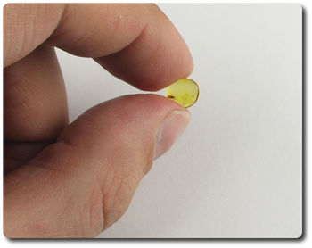 0.10 grams FOSSIL INSECT INCLUSION IN AMBER