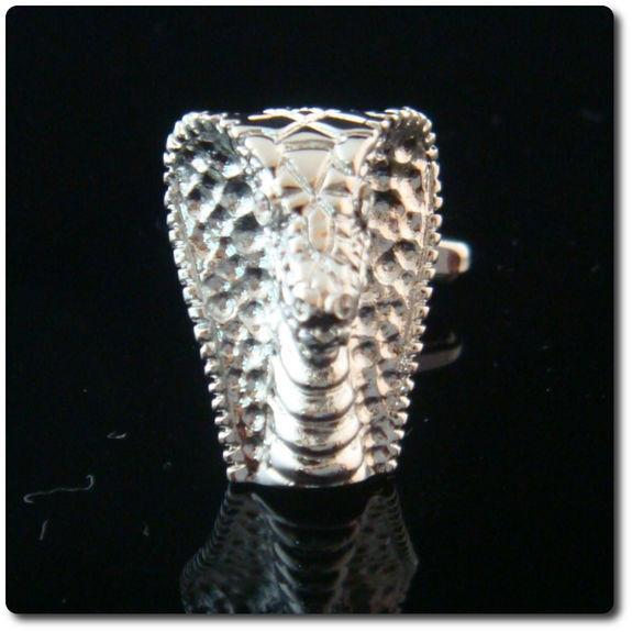 BOUTONS DE MANCHETTES