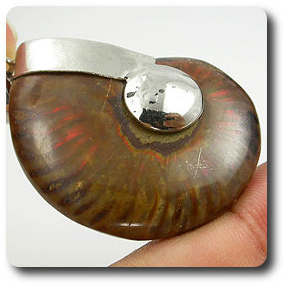 93.61CT. Natural Ammonite Fossil pendant