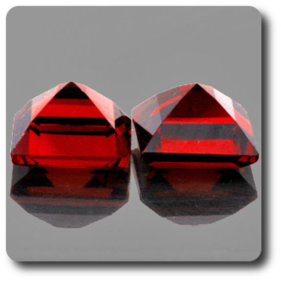 1.64CT. 2 pcs RED GARNET. IF