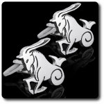 BOUTONS DE MANCHETTES