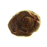 Lithophyse. 205.1 ct.