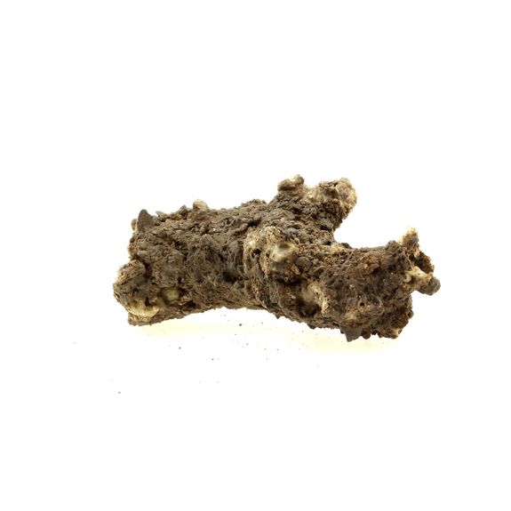 Fulgurite. 34.1 ct.