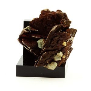 Siderite, Quartz, Pyrite.