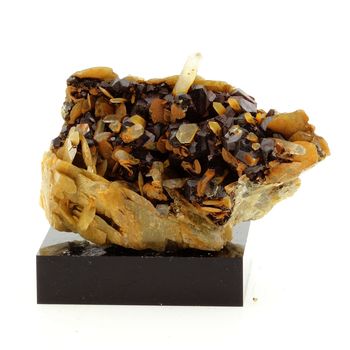 Siderite, Quartz, Pyrite. 558.1 ct.