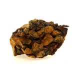 Pallasite Meteorite.