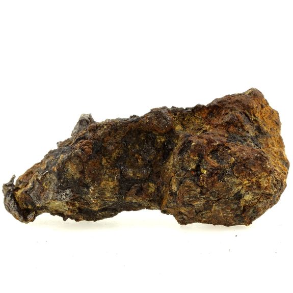 Pallasite Meteorite.