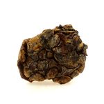 Pallasite Meteorite.