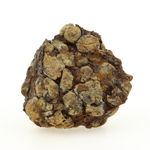 Pallasite Meteorite. 183.6 ct.