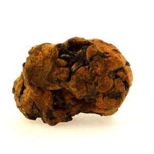 Pallasite Meteorite.