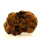 Pallasite Meteorite.