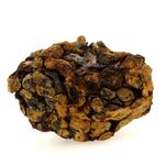 Pallasite Meteorite.