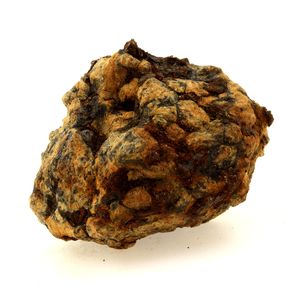 Pallasite Meteorite.