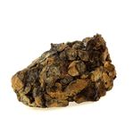 Pallasite Meteorite.