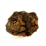 Pallasite Meteorite. 246.2 ct.