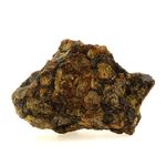 Pallasite Meteorite.