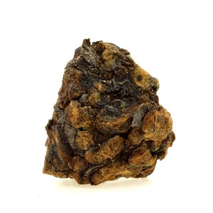 Pallasite Meteorite.