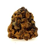 Pallasite Meteorite.