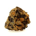 Pallasite Meteorite.