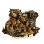 Pallasite Meteorite.
